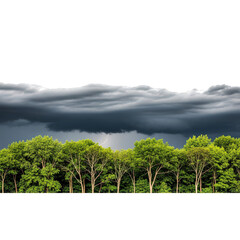 Obraz premium A row of trees under a dramatic storm cloudscape isolated on transparent background