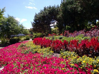 Summer park's landscape with trees and flower beds