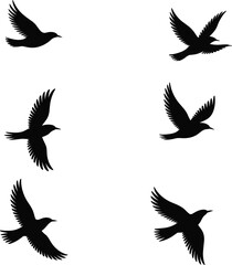 Bird silhouette vector set, flying bird icons, black bird illustrations, wildlife clipart, animal flight graphic, nature SVG shapes