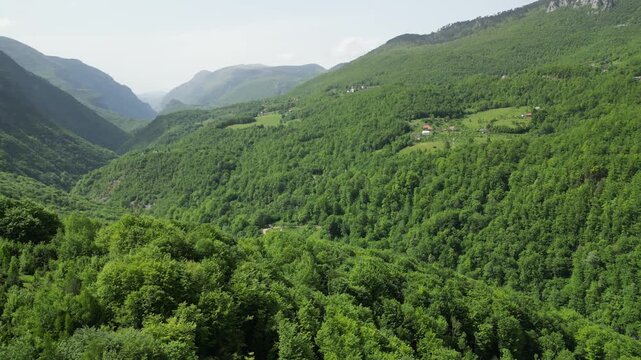 4K aerial drone video flying forward along winding Tara River through green valley Durmitor Montenegro