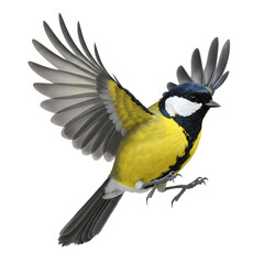 Flying Yellow Bird with Spread Wings On Isolated Transparent Background