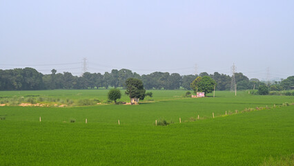 Lush green fields stretch across the landscape, bordered by dense trees under a clear sky.