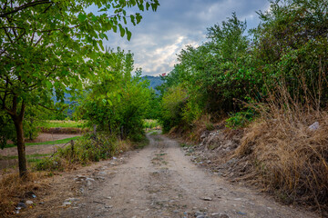 Fototapeta premium Rustic dirt road flanked by trees and dry brush in Başiskele, Kocaeli, Türkiye, leading into farmland under a cloudy sky.