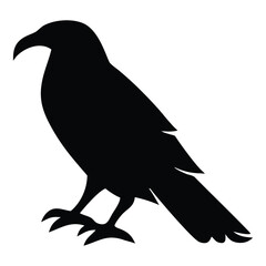 Raven Silhouette Vector – Black Crow Bird Clipart
