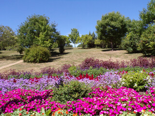 Summer park's landscape with trees and flower beds