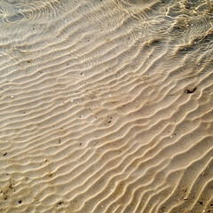Fototapeta premium close-up background of sand patterns on a beach with gentle wave textures