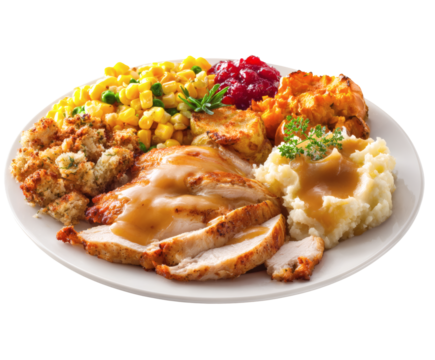 A beautifully arranged Thanksgiving dinner plate with turkey and all the trimmings.