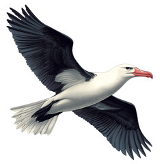 Naklejka premium Albatross flying with wings spread wide against PNG black background bird