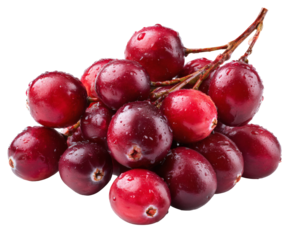 Fresh and juicy cranberries, perfect for cooking and enjoying during the holidays.