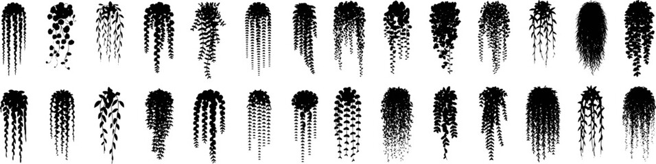 Black silhouette hanging plants variety foliage vines