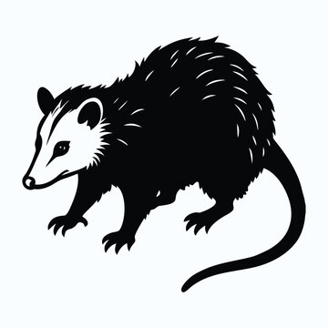 Virginia opossum silhouette vector design on white background