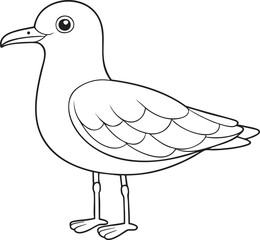 Black and white seagull outline illustration with detailed feathers and feet perfect for coloring or educational projects