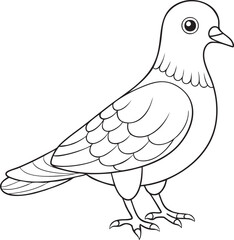 Cartoon pigeon outline illustration in black and white designed for coloring pages and simple educational bird drawings