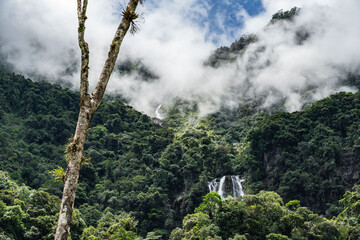 Obraz premium view of a dense tropical rainforest valley with morning fog and lush green with waterfall in the colombian jungle