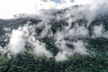 view of a dense tropical rainforest valley with morning fog and lush green with waterfall in the colombian jungle