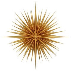 Obraz premium Golden Burst Ornament: A stunning, geometrically intricate golden ornament, radiating elegance and warmth, perfect for festive occasions, adding a touch of opulence to any decor.