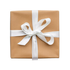 Wrapped present with white ribbon, celebration, surprise