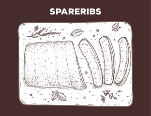 Spareribs sketch. Hand drawn vector illustration. Gastropub, gastrobar, pub food. Detailed design element. Top view.