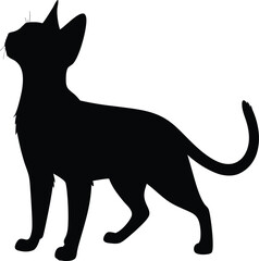 Abyssinian Cat Silhouette Standing Pose Elegant Slim Body Vector Illustration, Elegant Abyssinian Cat Silhouette, Slim Body Kitten Shadow Vector, Minimal Pet Cat Silhouette