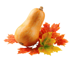 A vibrant butternut squash with colorful autumn leaves creates a warm fall scene.