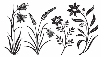 Collection of elegant black floral silhouettes and botanical elements on a white background