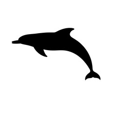 Fototapeta premium Silhouette of a dolphin jumping in the ocean