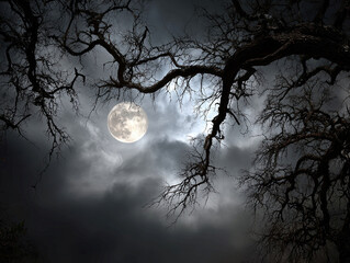 Nighttime scene of a full moon illuminating bare trees against cloudy sky Moon framed by tree branches, dramatic gray clouds, stark shadows on the ground, leafless trees, no visible hu - AI-Generated