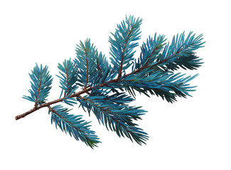 Obraz premium Teal-hued pine branch, isolated against black. Detailed,?vibrant?leaves