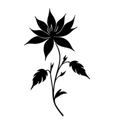 Minimalist black silhouette of clematis flower with climbing vine on white background
