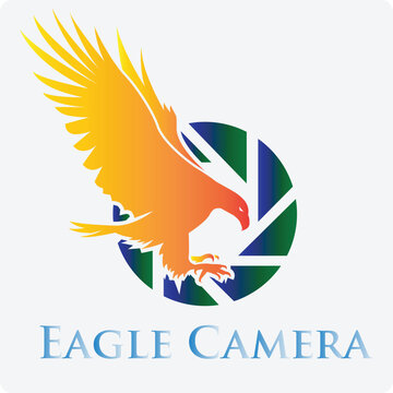 new eagle camera vector design 