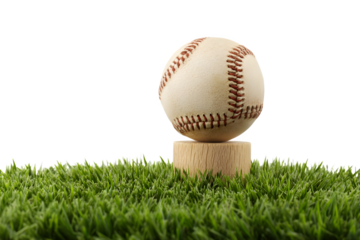 Baseball on a wooden stand on green grass isolated on transparent background