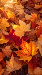 Fototapeta premium Colorful Maple Leaves on Natural Background