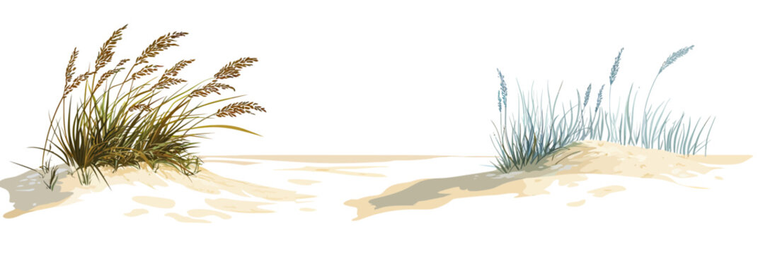 Natural sea oats and beach grass plants growing on sandy dunes with shadows and textured sand in flat minimalist vector style coastal landscape design