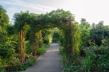 Naklejka premium Garden Path with a Lush Green Archway