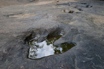 Dinosaur footprints on rocks