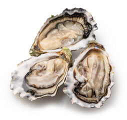 Opened raw oysters isolated on white background, clipping path. Delicacy food. © volff