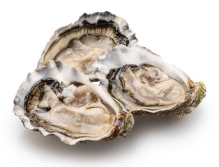 Opened raw oysters isolated on white background, clipping path. Delicacy food. © volff