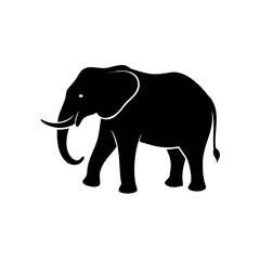 Elegant Elephant Silhouette