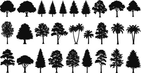 Tree silhouettes collection, vector illustration, nature design elements, isolated black trees, forest, landscape, decoration, template