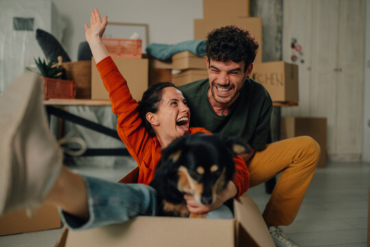 Happy couple playing with dog in cardboard box after moving into new home - Powered by Adobe