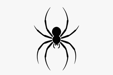 Obraz premium Spider graphic black arachnid vector halloween creepy insect web silhouette danger animal scary design art