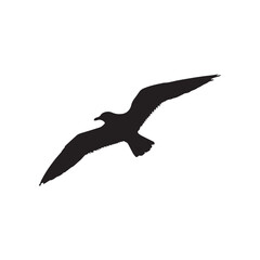 Flying Seagull Silhouette