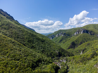 Naklejka premium Drone captures a view of the Cernei Mountains from Băile Herculane, Romania. The landscape features lush green forests covering rolling hills and rugged mountain peaks