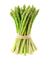 A bunch of green asparagus are tied together