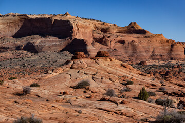 Fototapeta premium Eroded Red Rock Formations in Coyote Buttes, Paria Canyon-Vermilion Cliffs Wilderness, Arizona, USA – Scenic Southwest Desert Landscape Under Clear Sky