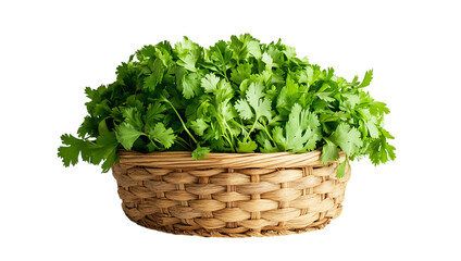 Fototapeta premium A basket full of fresh green herbs