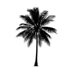 Silhouetted palm tree, dark background, textured leaves,  sparkly details