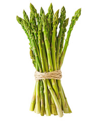 A bunch of green asparagus are tied together