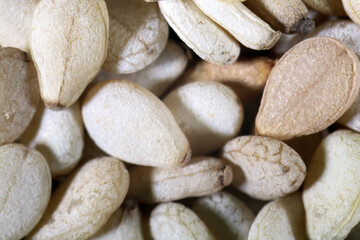  Sesame seeds