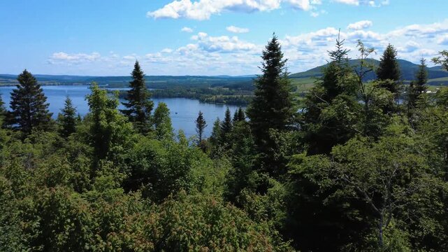 Video filmed by a drone passing between the treetops towards a large blue lake where a few motorboats are moving. Lake Matapedia, Quebec, Canada, 2025.